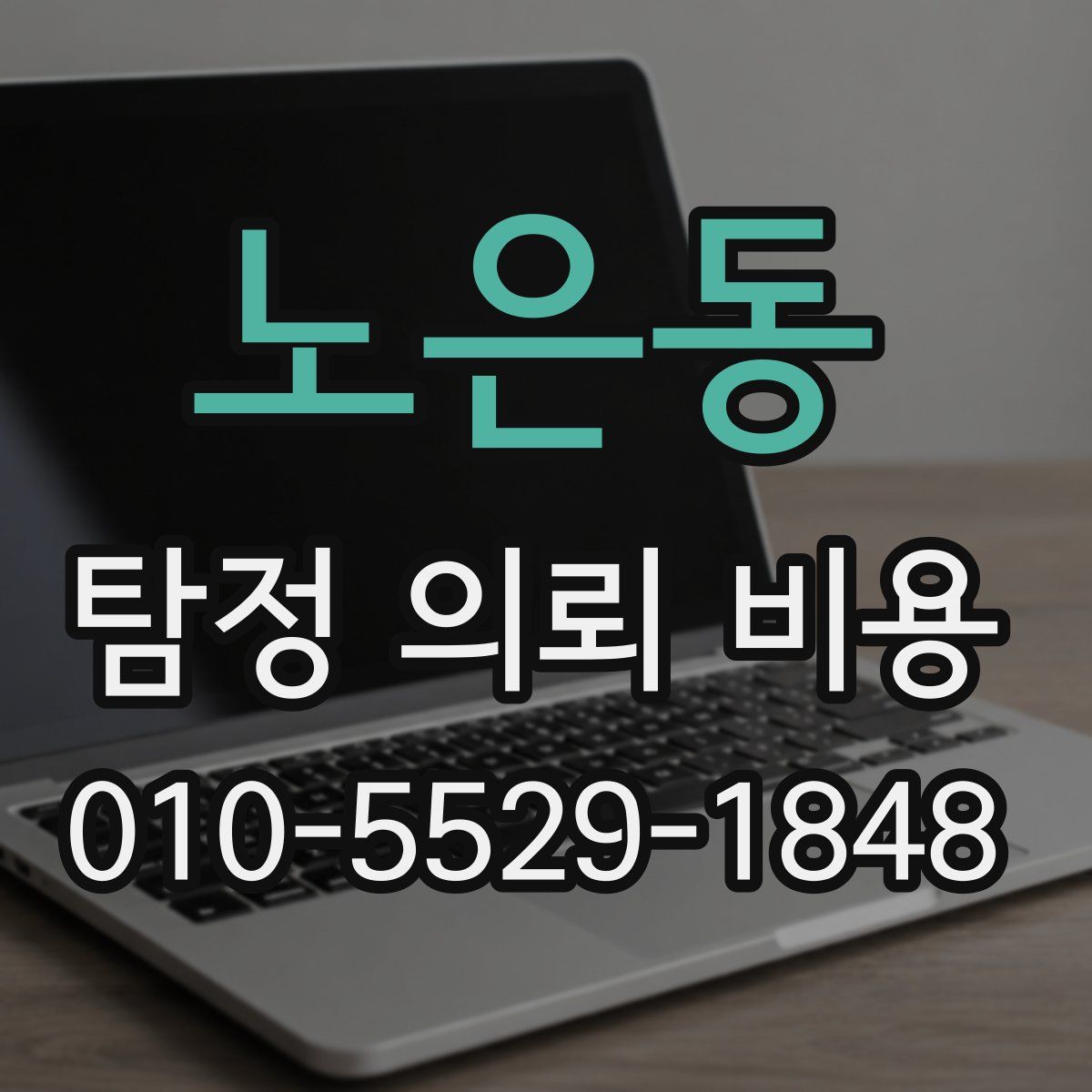 노은동 탐정 의뢰 비용
