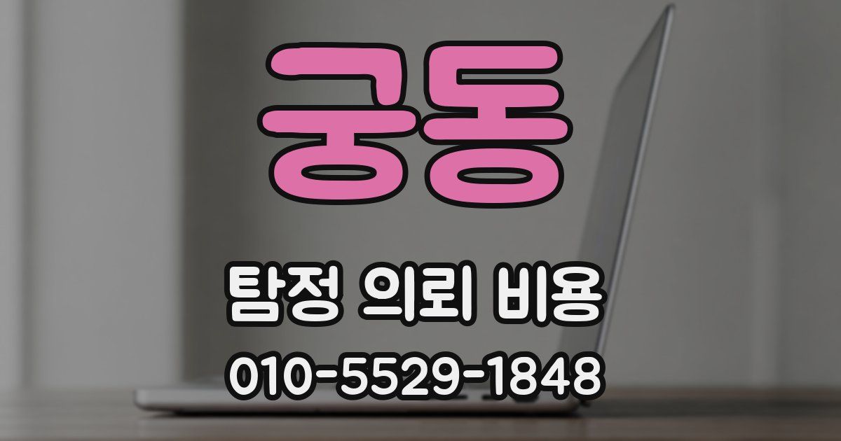 궁동 탐정 의뢰 비용
