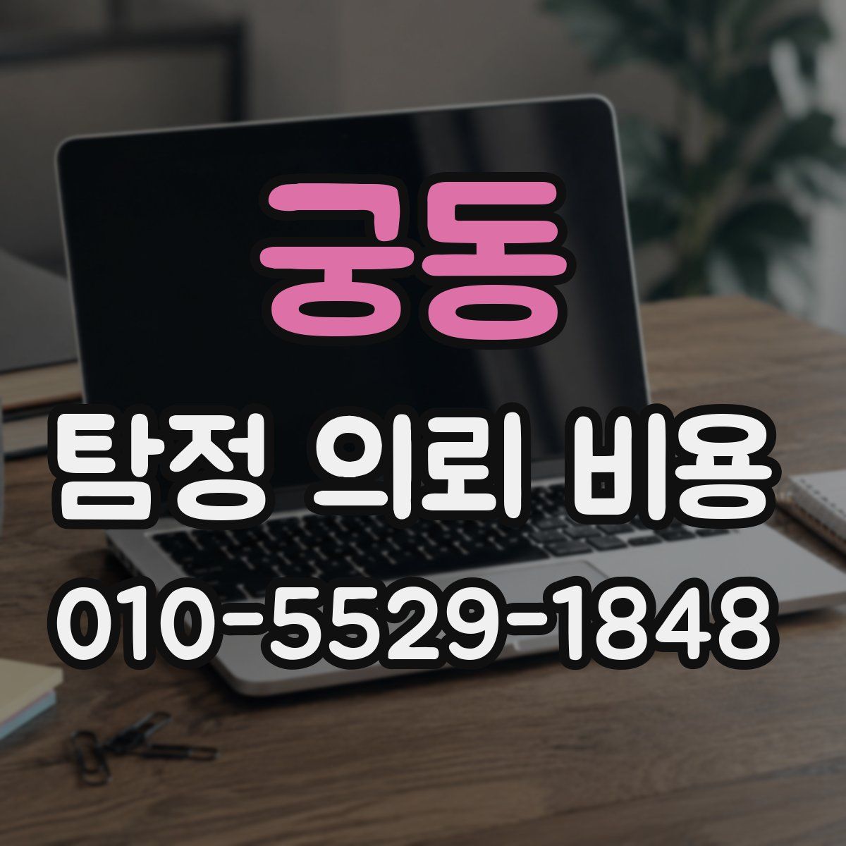 궁동 탐정 의뢰 비용