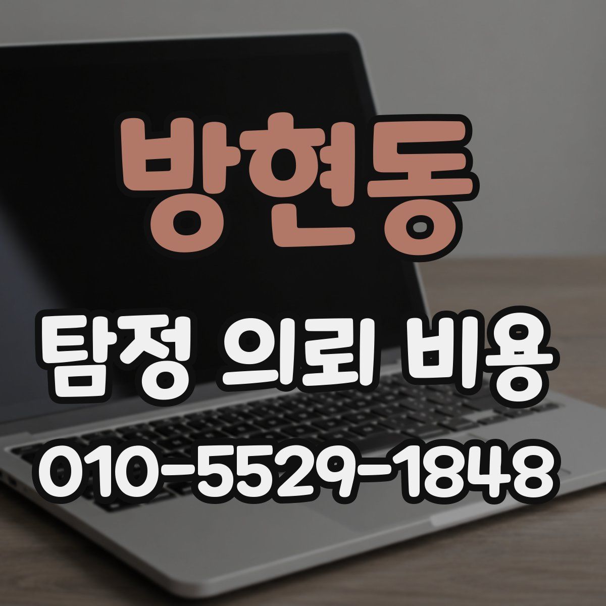 방현동 탐정 의뢰 비용