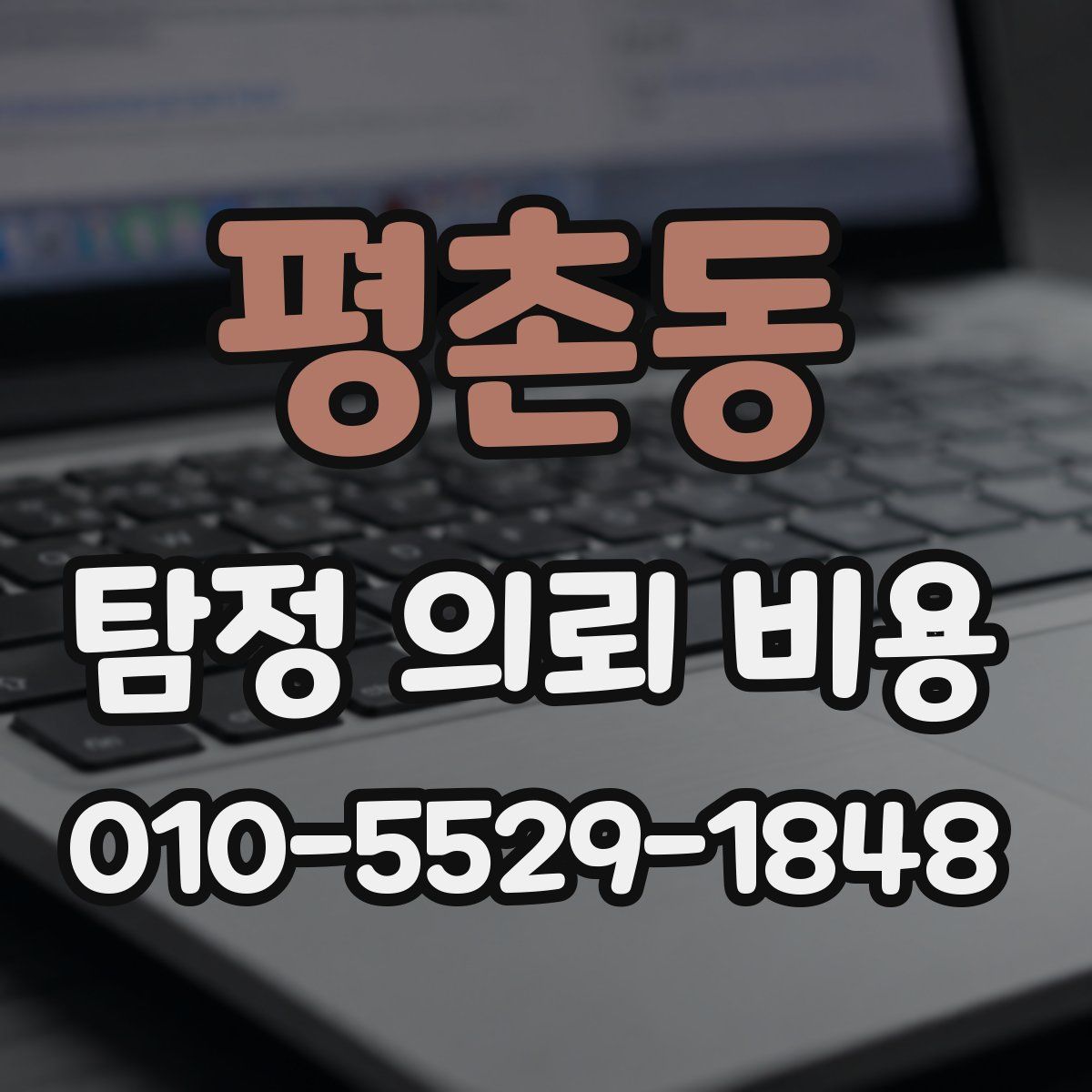 평촌동 탐정 의뢰 비용