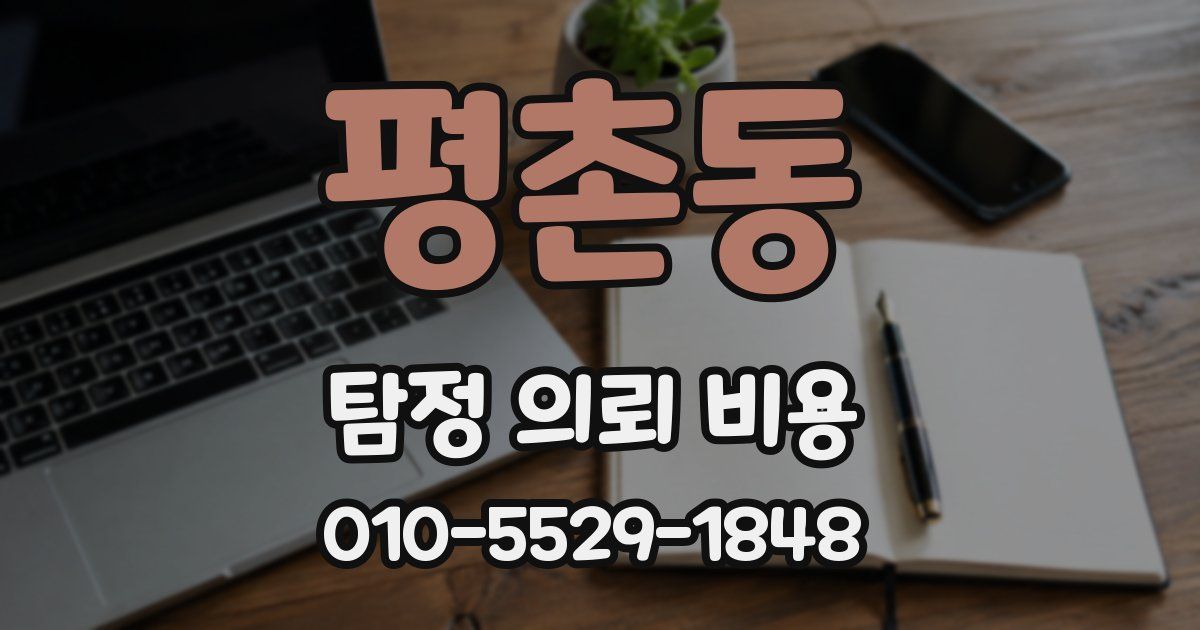 평촌동 탐정 의뢰 비용