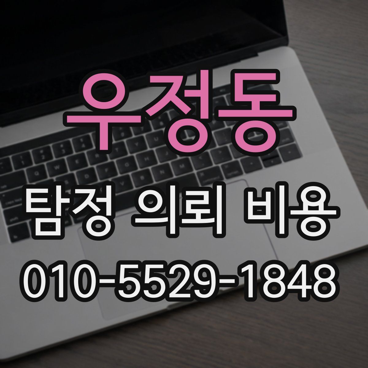 우정동 탐정 의뢰 비용