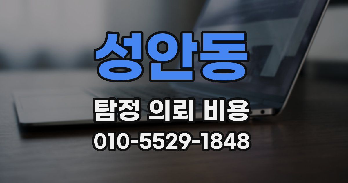 성안동 탐정 의뢰 비용