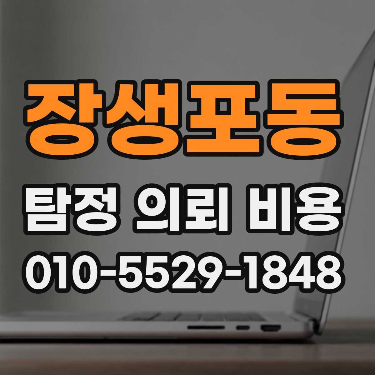 장생포동 탐정 의뢰 비용