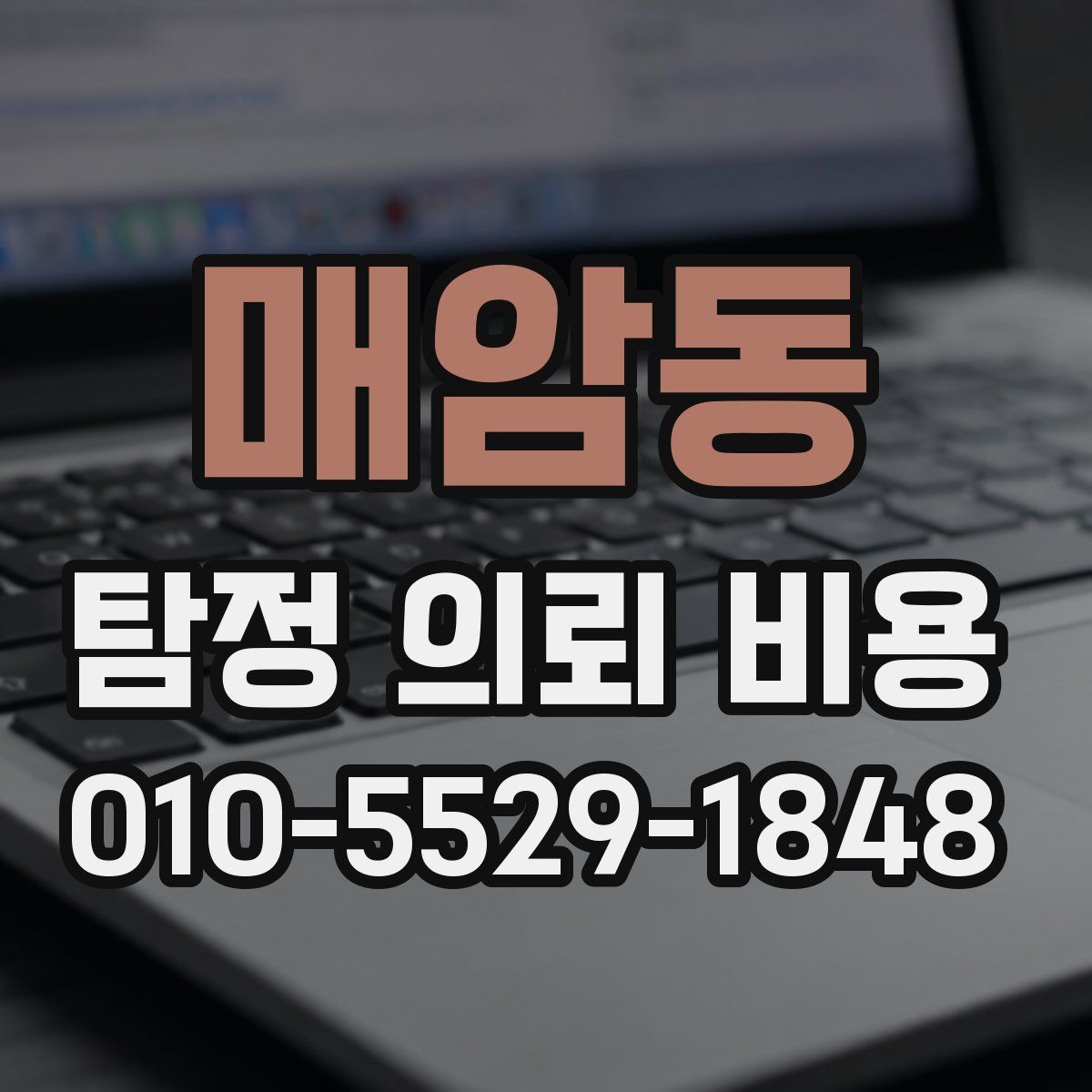 매암동 탐정 의뢰 비용