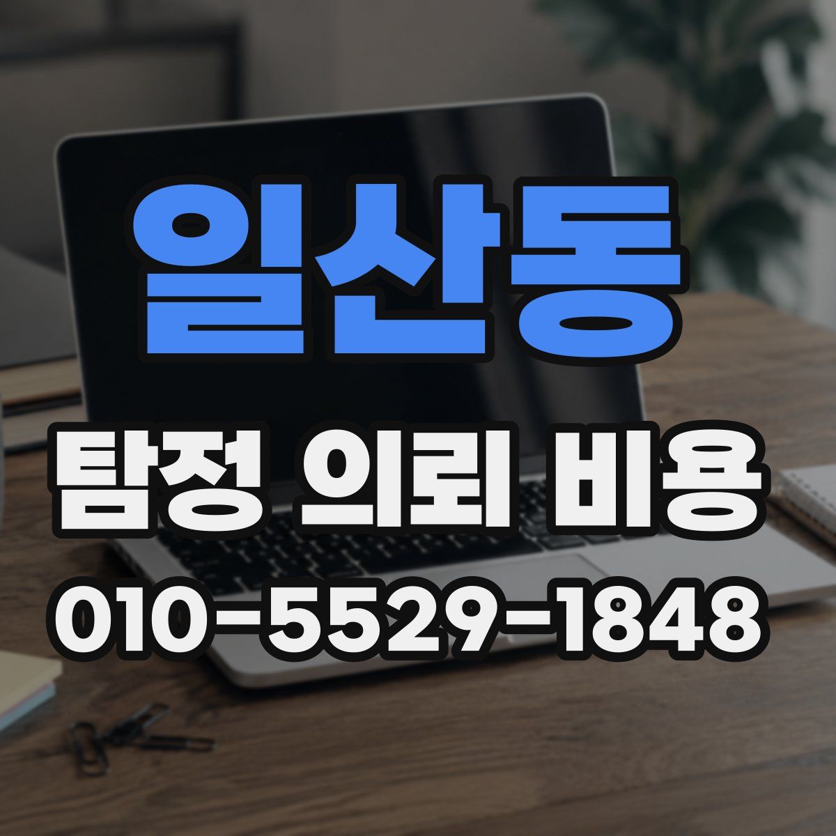 일산동 탐정 의뢰 비용
