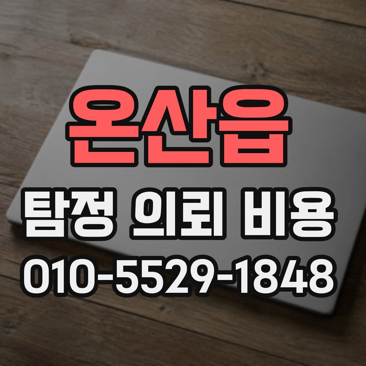 온산읍 탐정 의뢰 비용