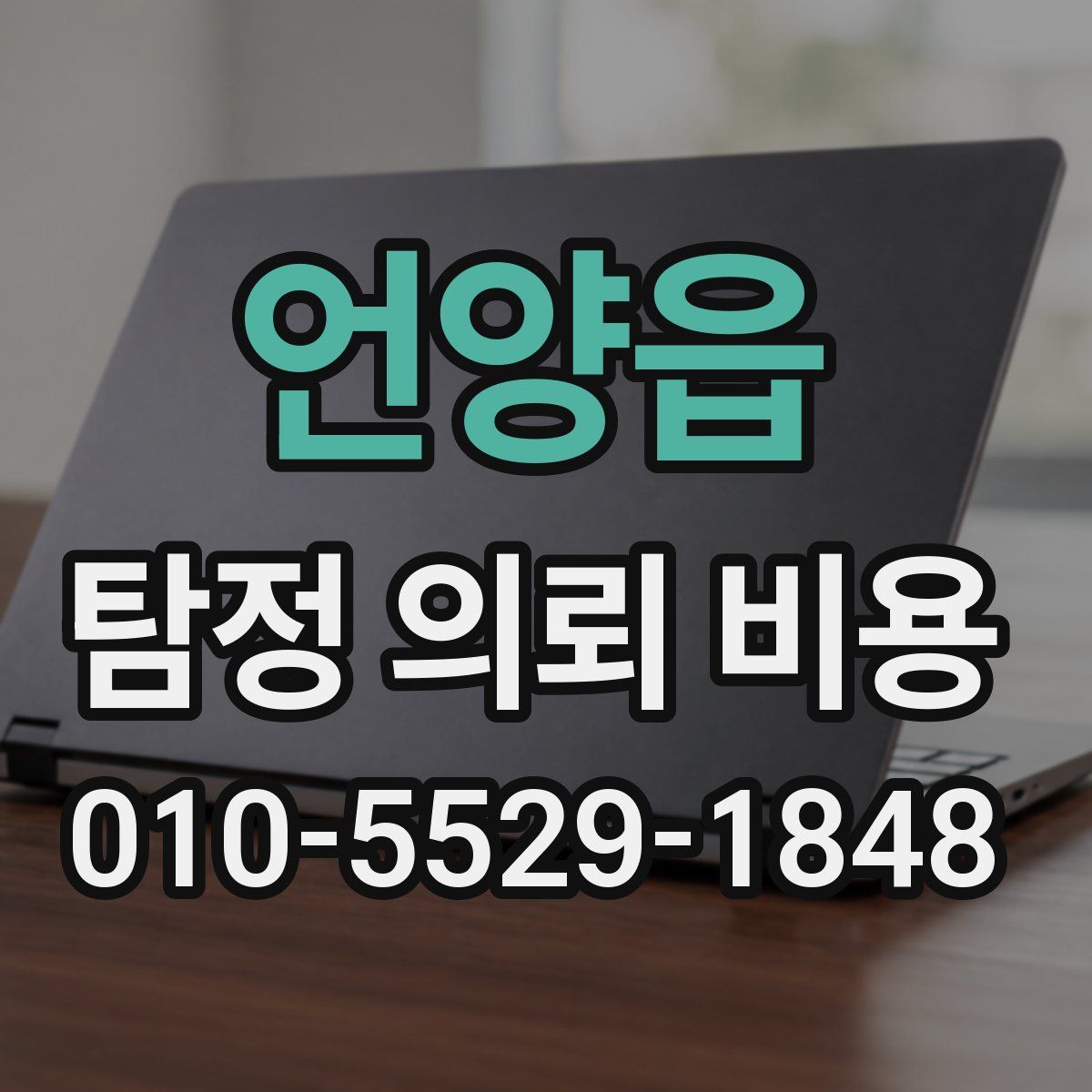 언양읍 탐정 의뢰 비용