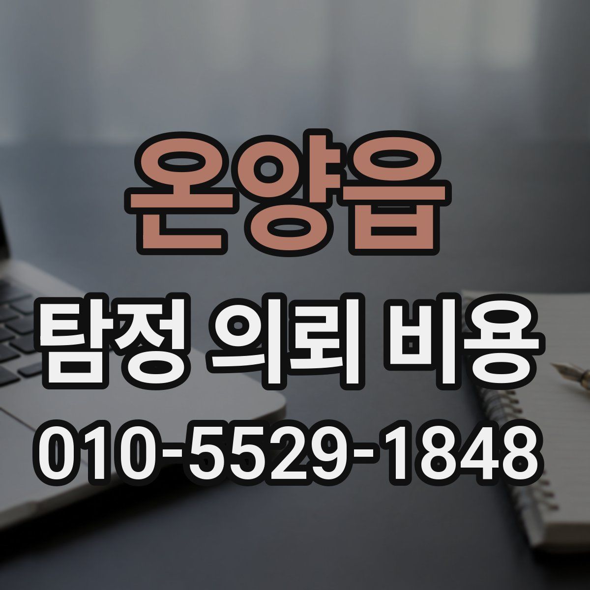온양읍 탐정 의뢰 비용