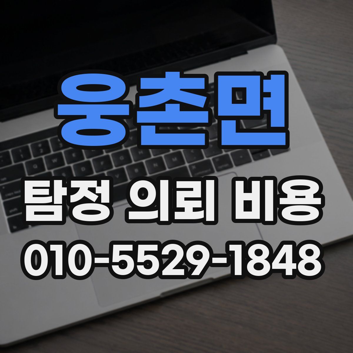 웅촌면 탐정 의뢰 비용
