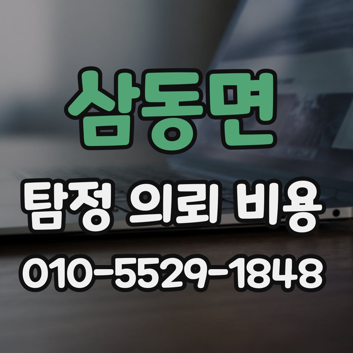 삼동면 탐정 의뢰 비용