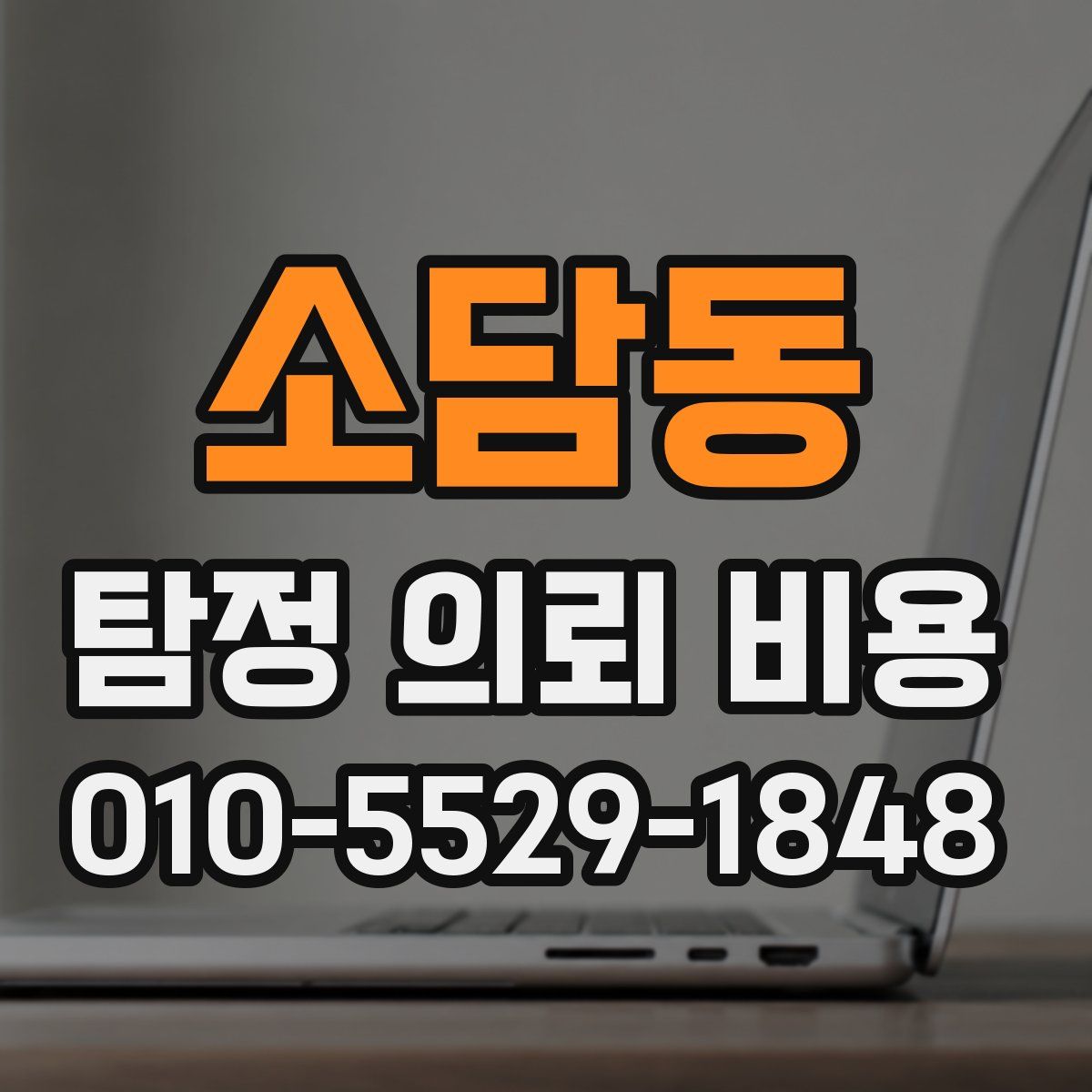 소담동 탐정 의뢰 비용