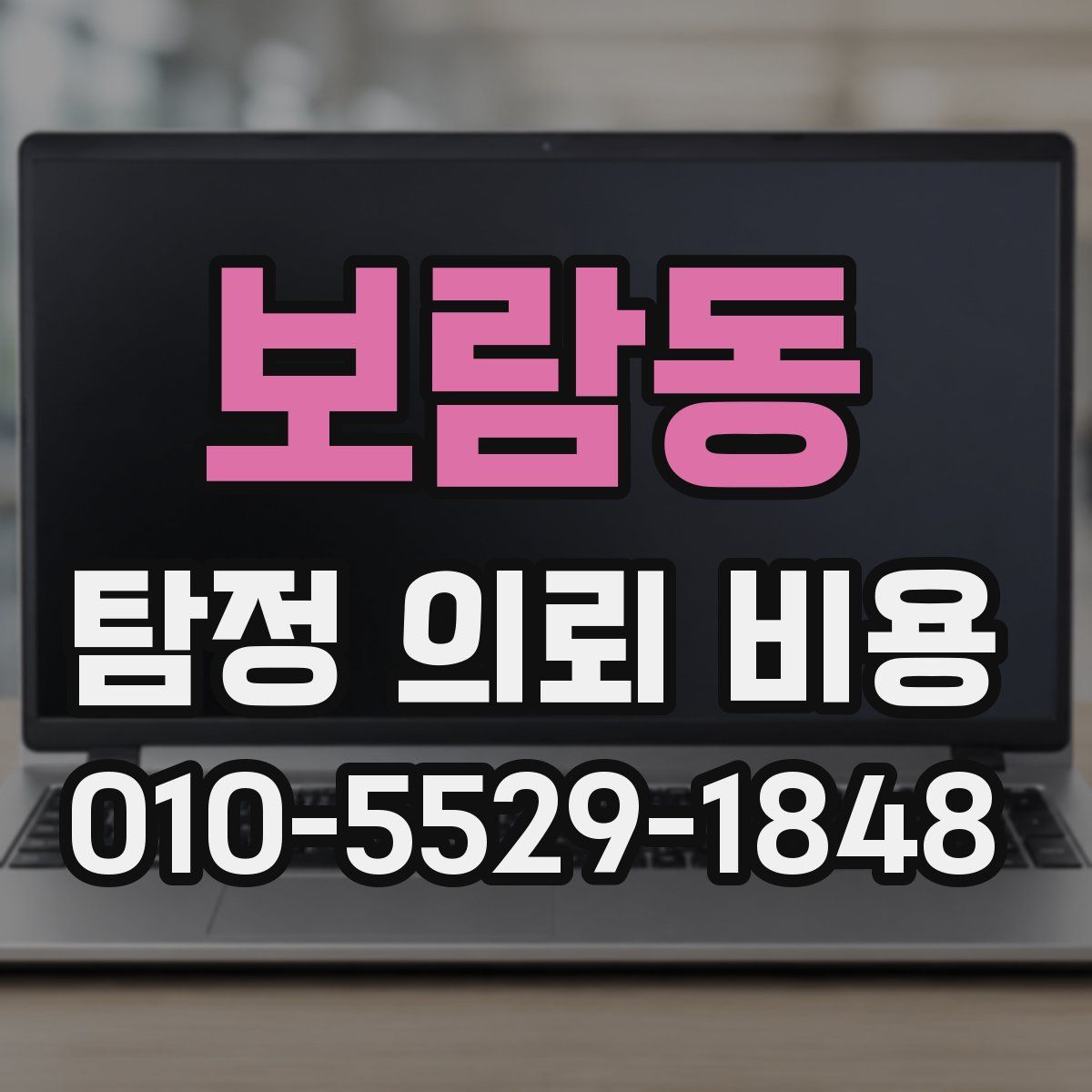 보람동 탐정 의뢰 비용