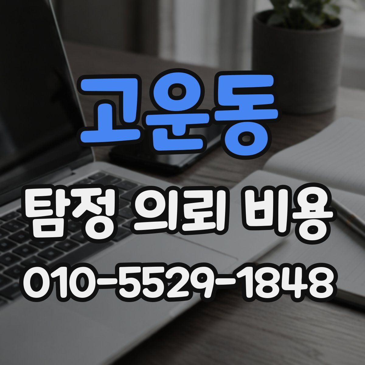 고운동 탐정 의뢰 비용