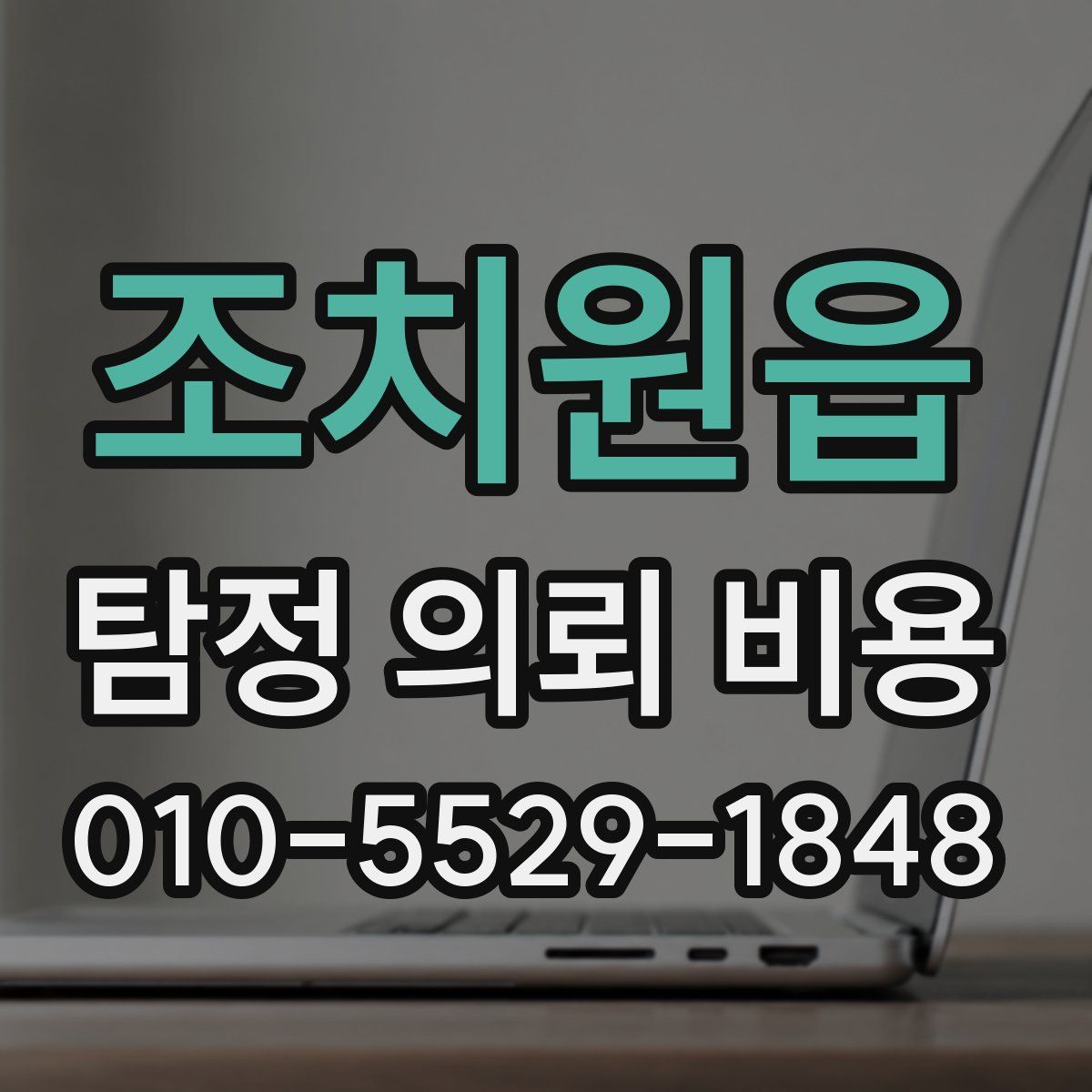 조치원읍 탐정 의뢰 비용
