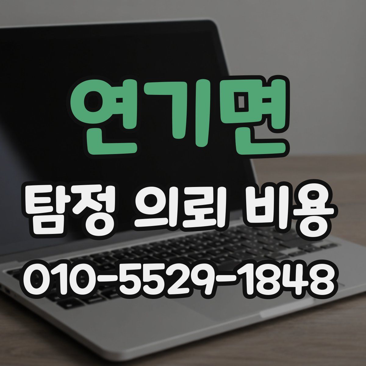 연기면 탐정 의뢰 비용