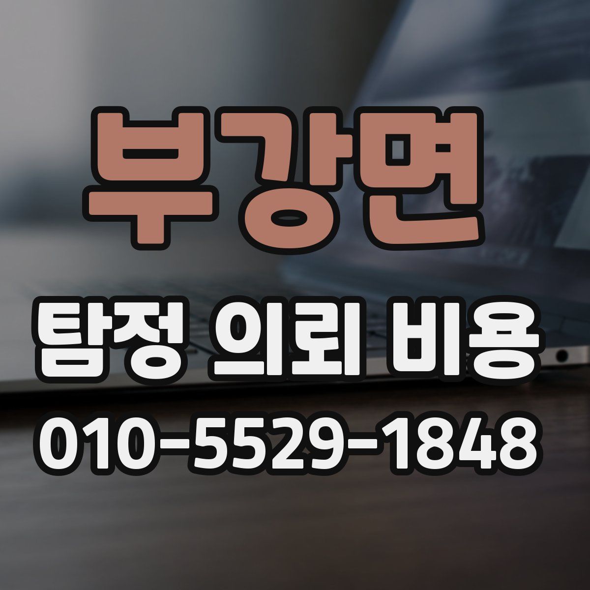 부강면 탐정 의뢰 비용