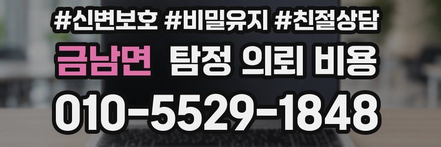 금남면 탐정 의뢰 비용