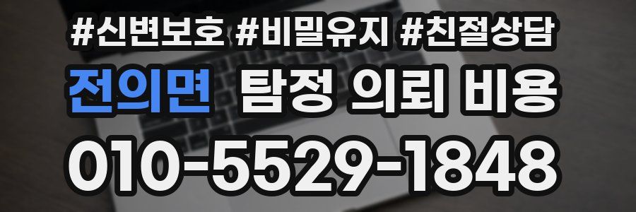 전의면 탐정 의뢰 비용