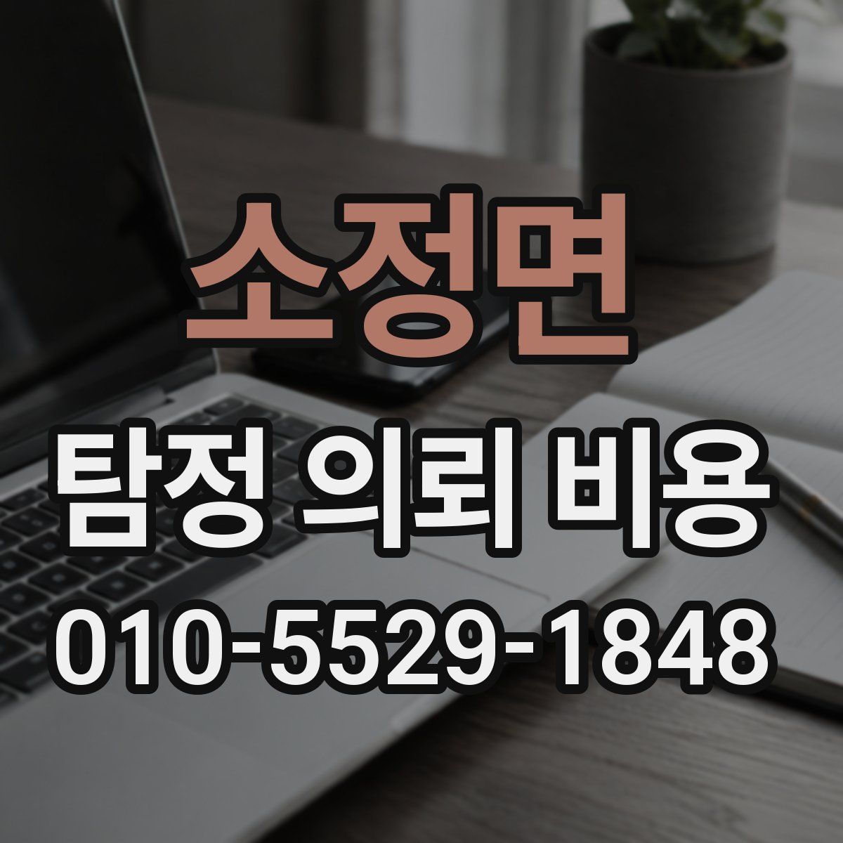 소정면 탐정 의뢰 비용