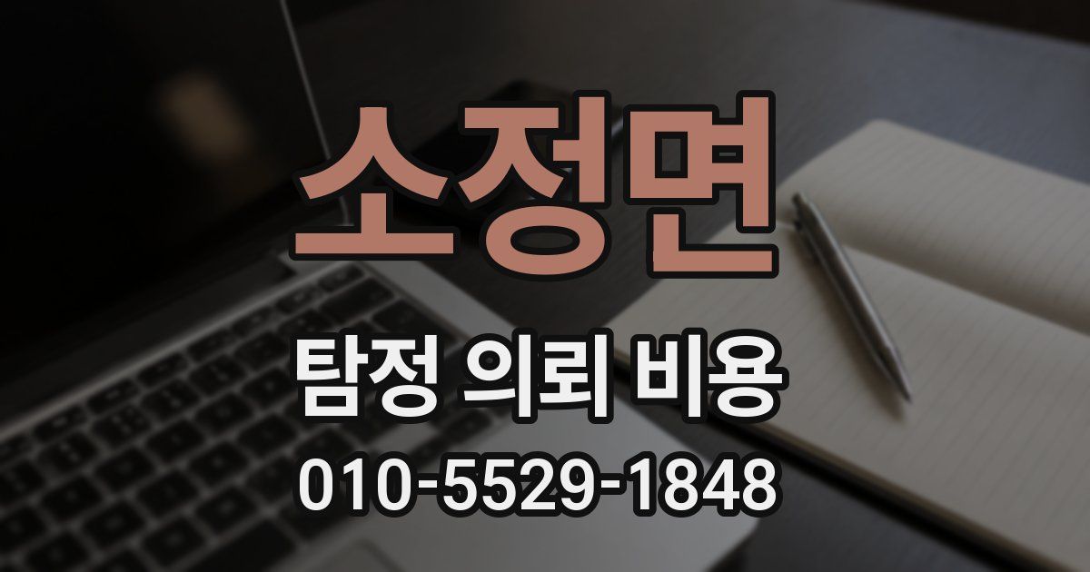 소정면 탐정 의뢰 비용