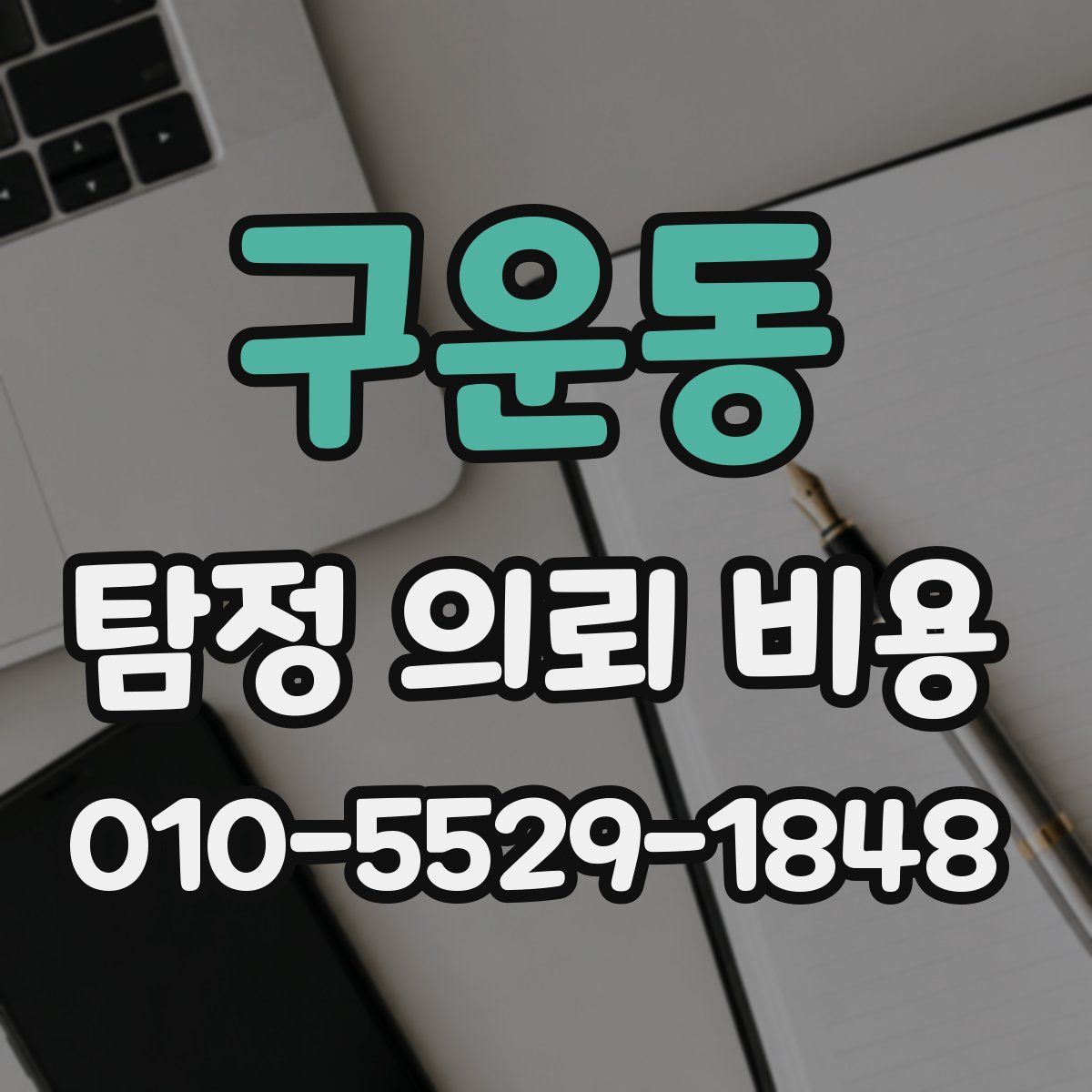 구운동 탐정 의뢰 비용
