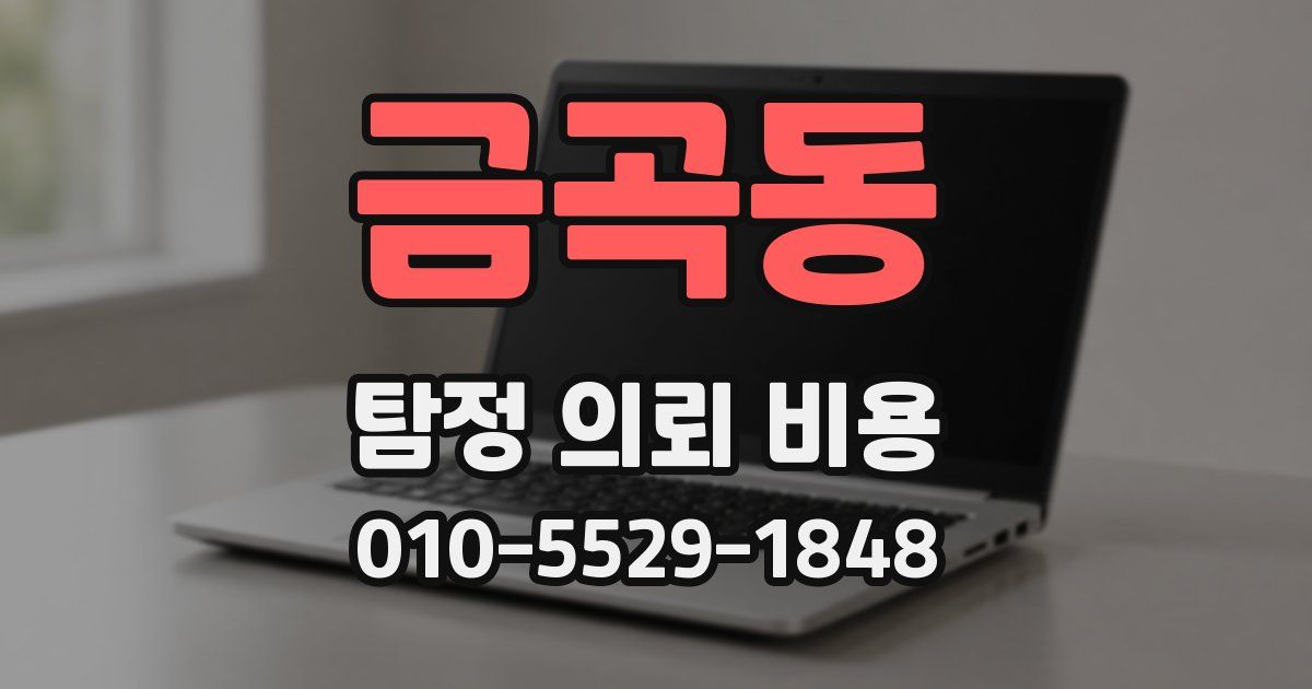 금곡동 탐정 의뢰 비용