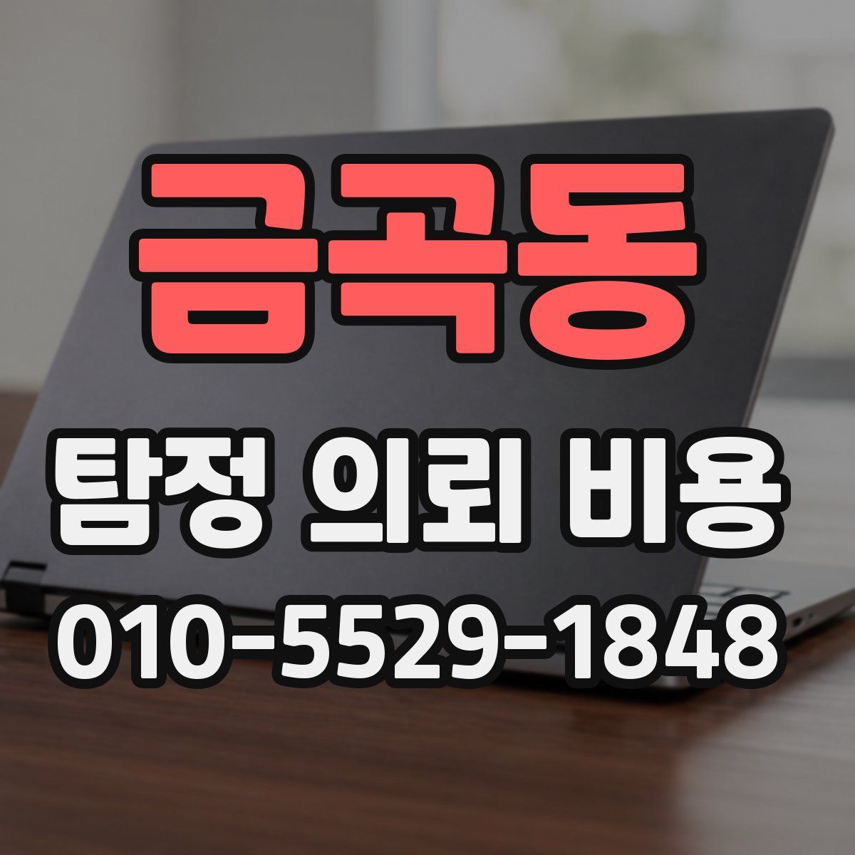 금곡동 탐정 의뢰 비용