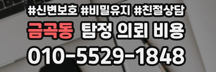 금곡동 탐정 의뢰 비용