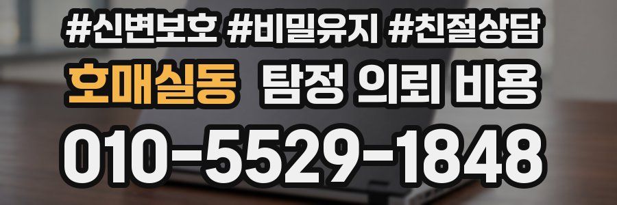호매실동 탐정 의뢰 비용