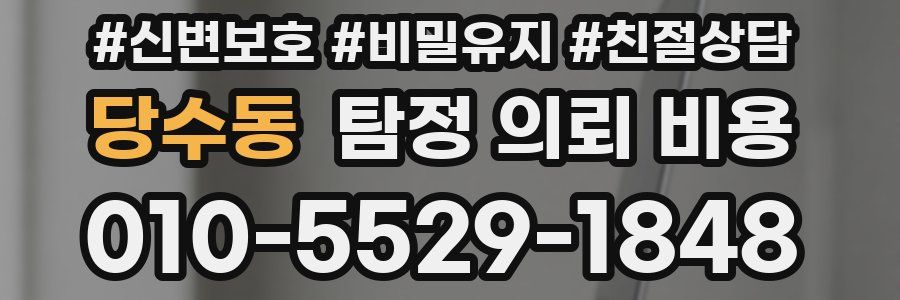 당수동 탐정 의뢰 비용