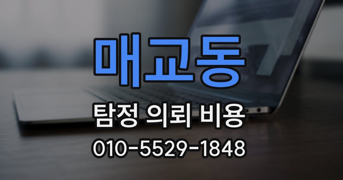 매교동 탐정 의뢰 비용