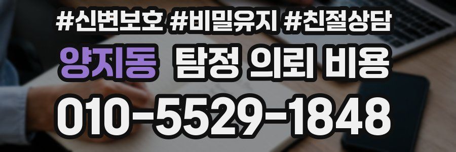 양지동 탐정 의뢰 비용
