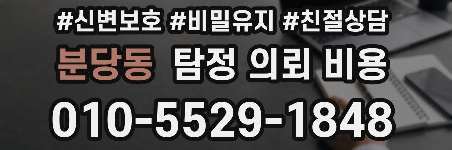 분당동 탐정 의뢰 비용