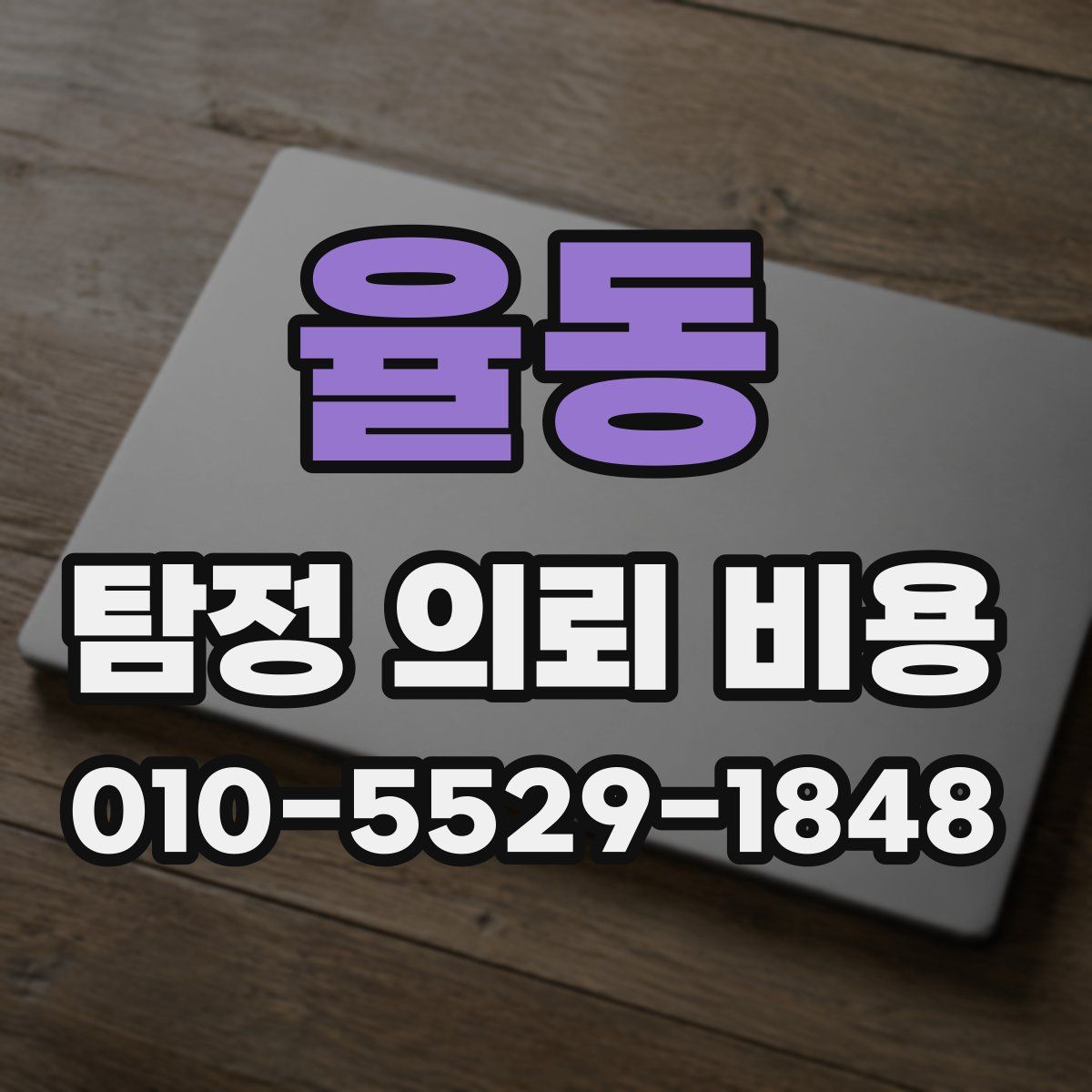 율동 탐정 의뢰 비용