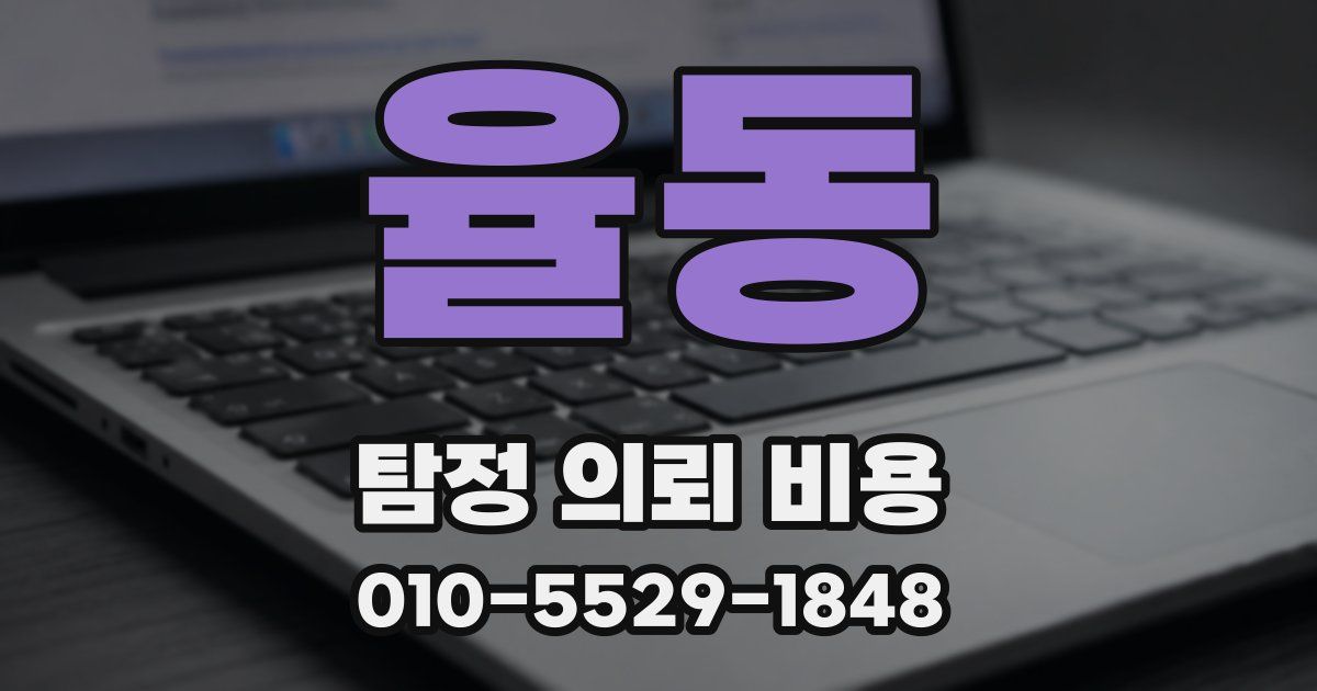 율동 탐정 의뢰 비용
