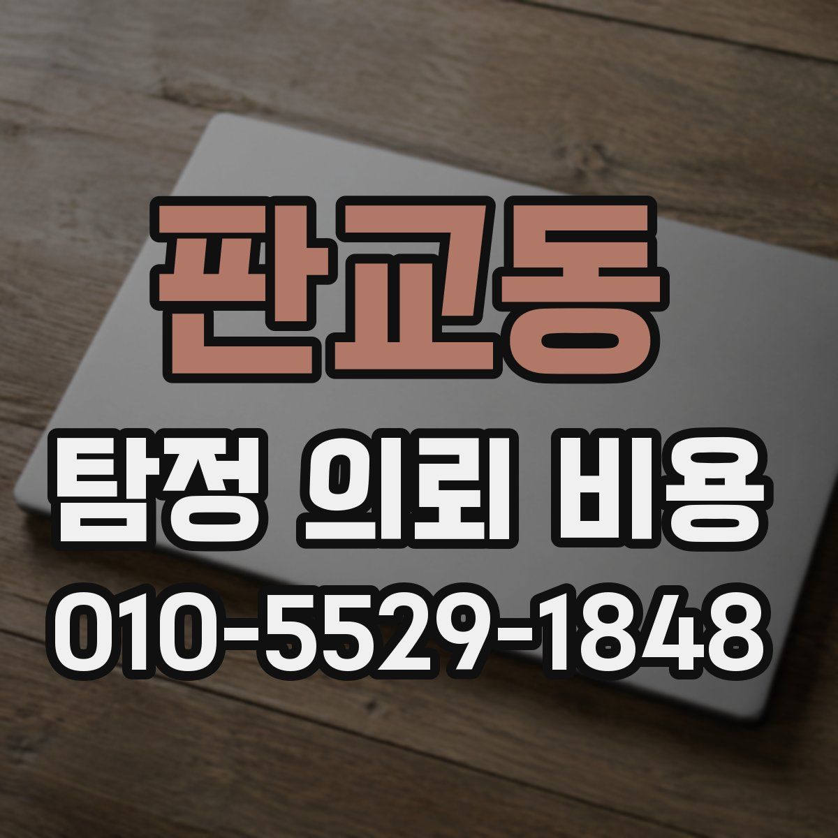 판교동 탐정 의뢰 비용