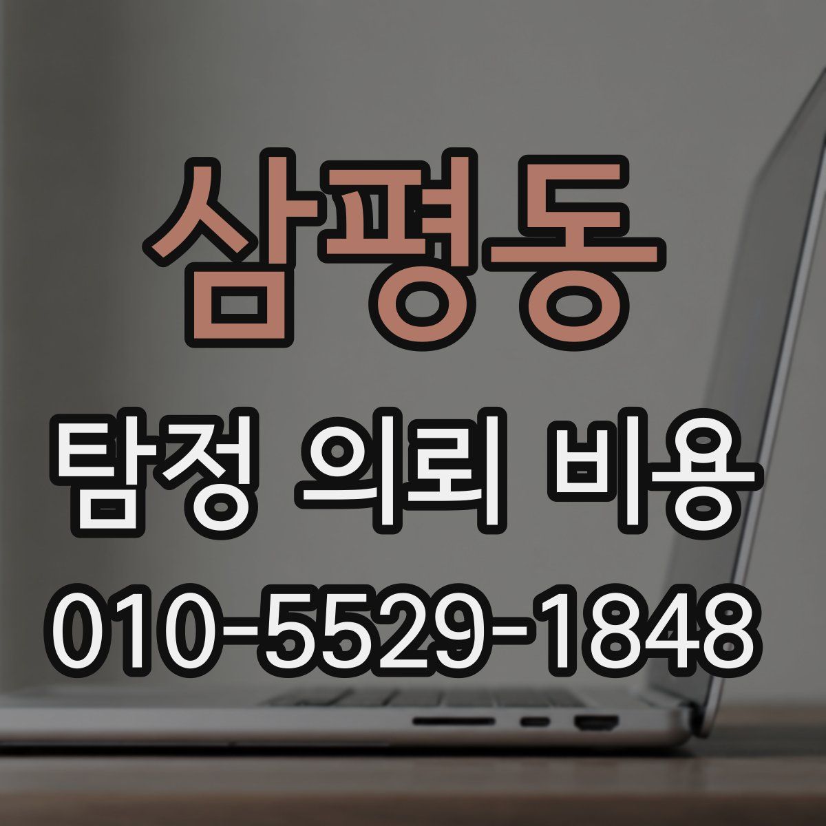삼평동 탐정 의뢰 비용