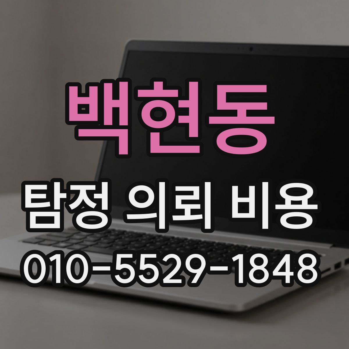 백현동 탐정 의뢰 비용
