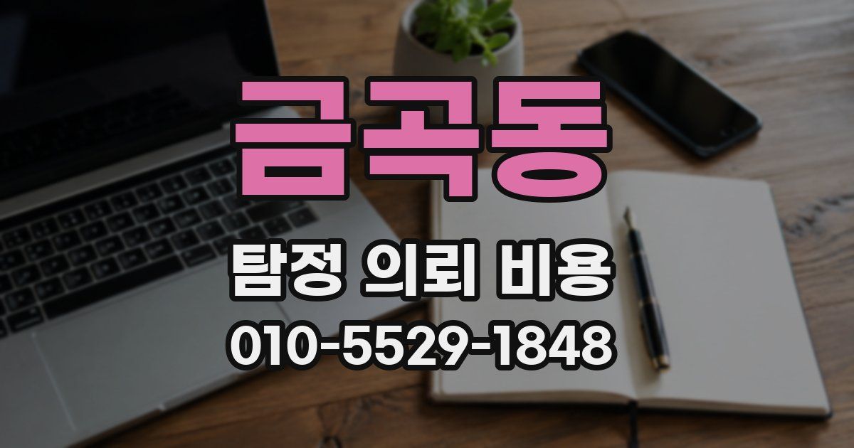 금곡동 탐정 의뢰 비용
