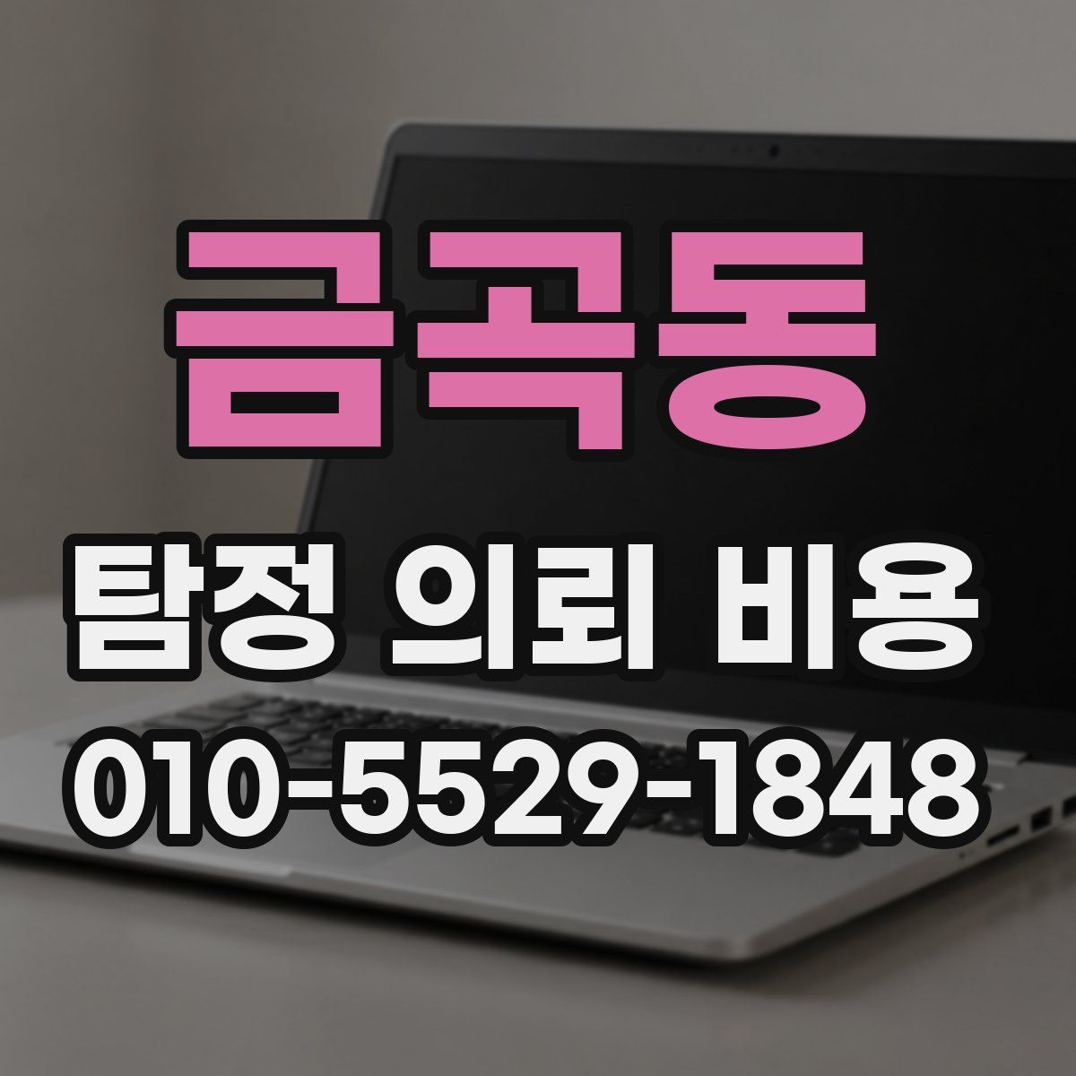 금곡동 탐정 의뢰 비용