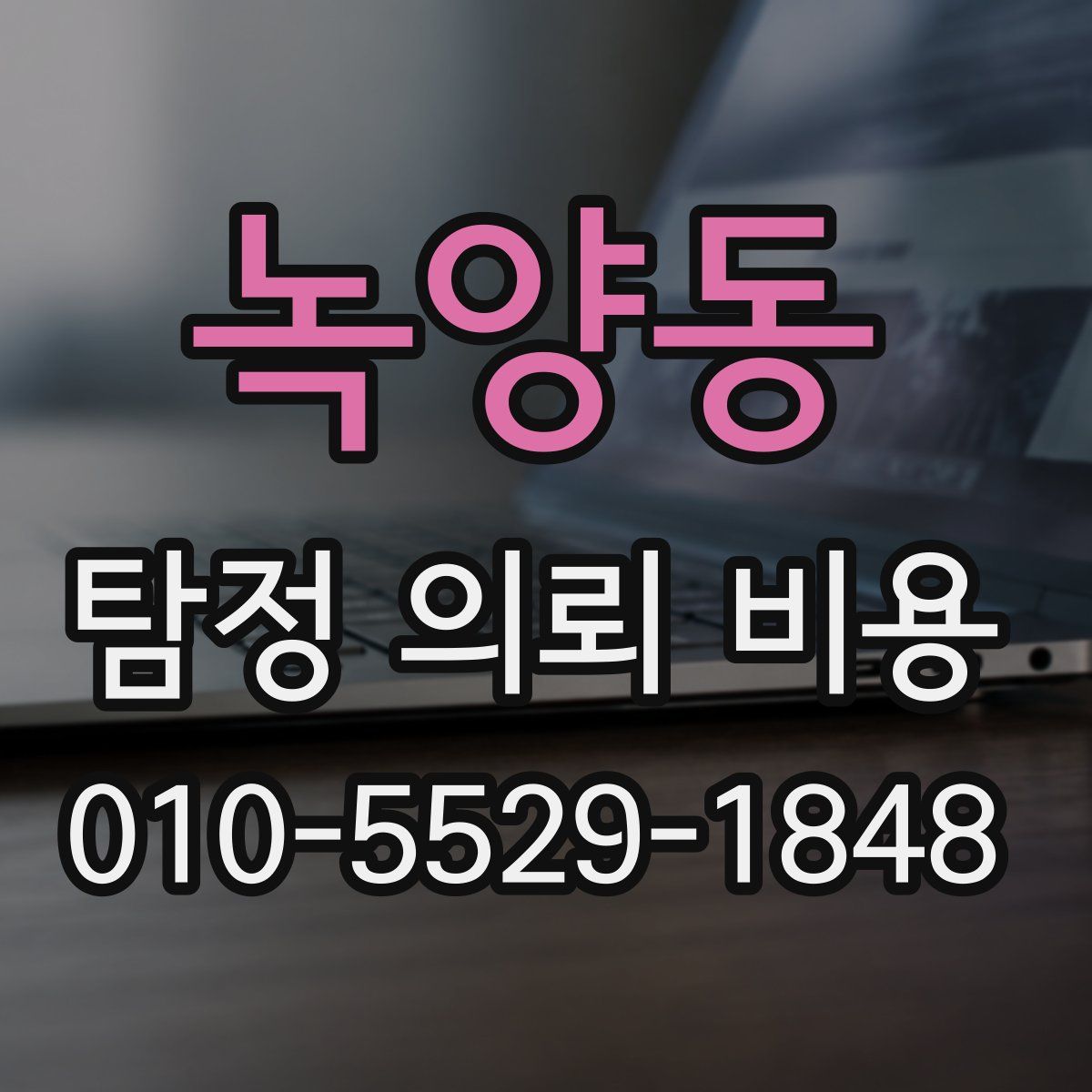 녹양동 탐정 의뢰 비용