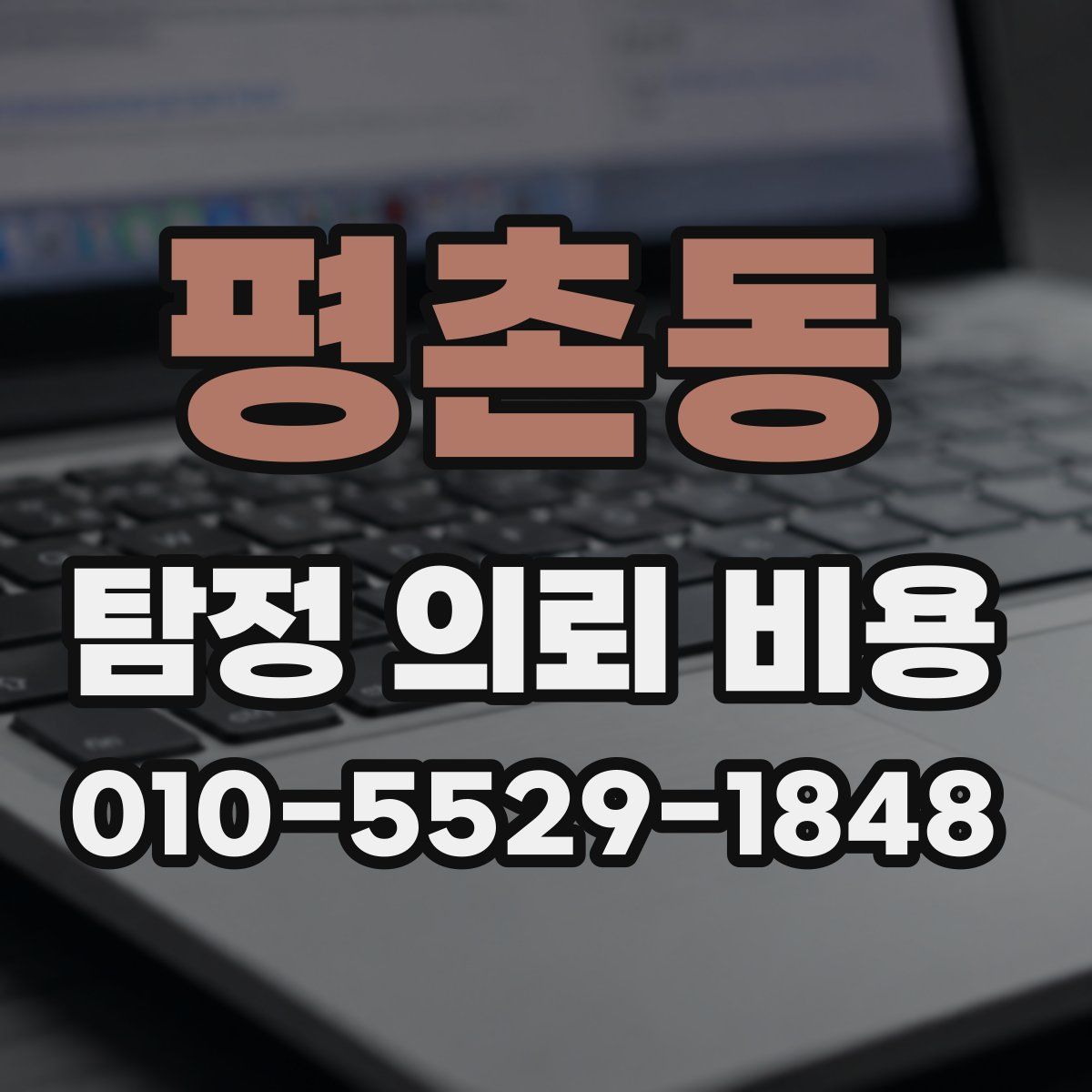 평촌동 탐정 의뢰 비용
