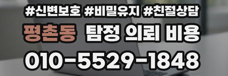 평촌동 탐정 의뢰 비용