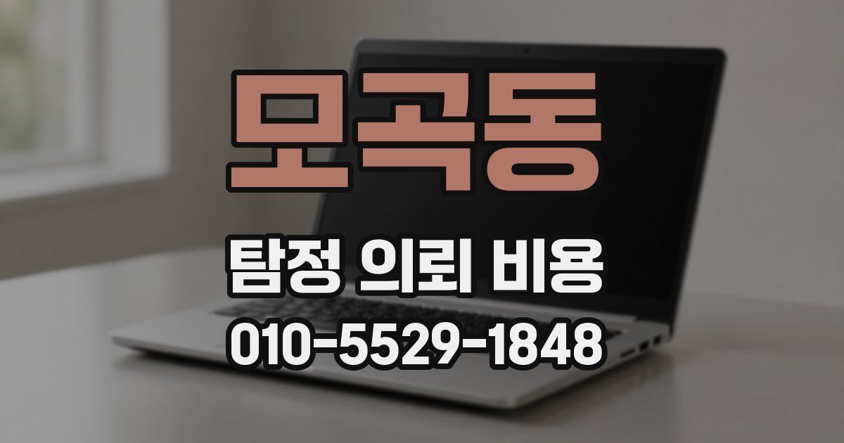 모곡동 탐정 의뢰 비용