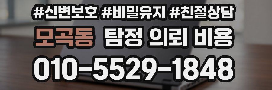 모곡동 탐정 의뢰 비용