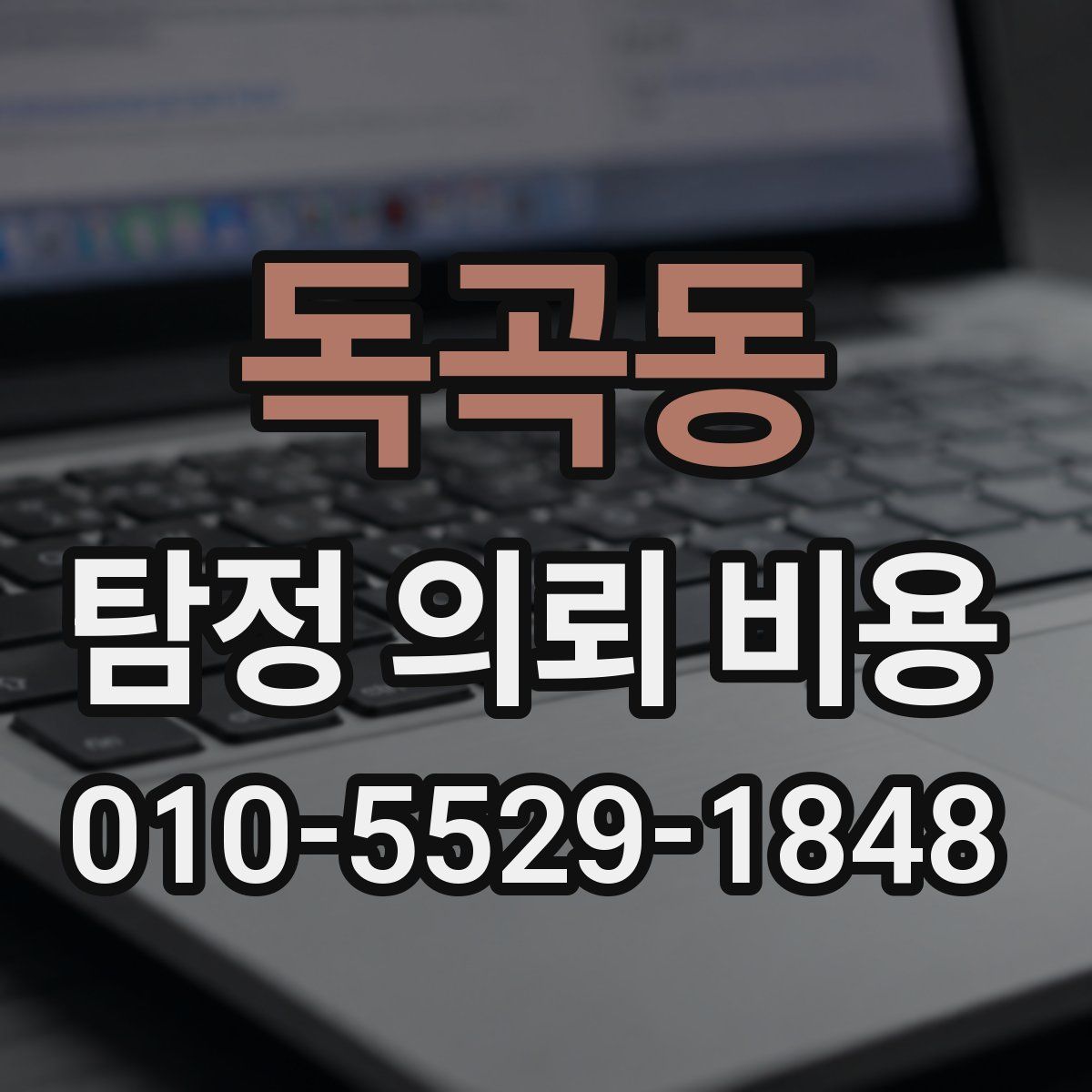 독곡동 탐정 의뢰 비용