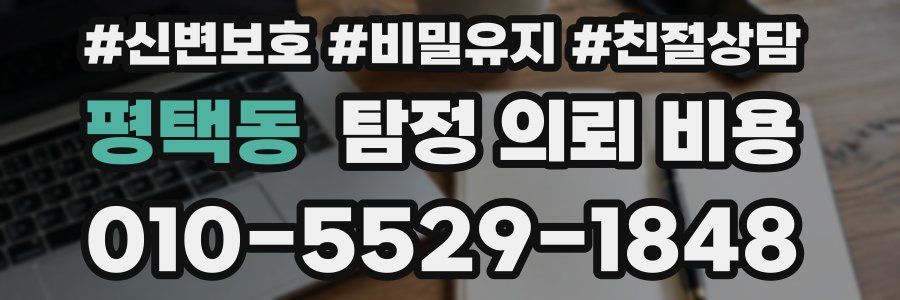 평택동 탐정 의뢰 비용