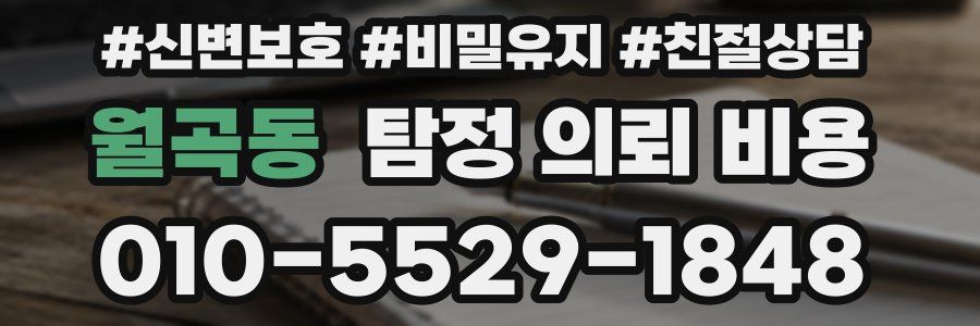 월곡동 탐정 의뢰 비용